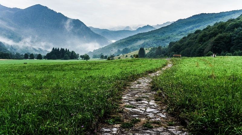 la route de la guérison vous attend !